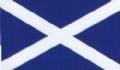 W4 SCOTLAND FLAG MEDIUM RECTANGULAR STICKER